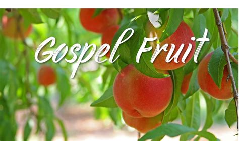 Gospel Fruit at Grace Fellowship